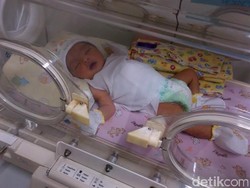 Kasihan, Bayi ini Menangis Dibuang di Semak-semak