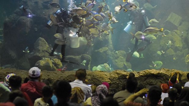 Pengunjung mengamati ikan-ikan di aquarium SeaWorld Ancol, Jakarta, Sabtu (18/7). Setelah resmi dibuka kembali pada (17/7), Sea World menjadi tempat wisata alternatif warga saat liburan lebaran. ANTARA FOTO/Hafidz Mubarak A./asf/aww/15.