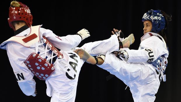 Ilustrasi taekwondo.