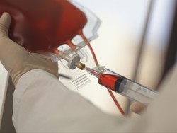 Tak Mau Dianggap Beban, Imigran Polandia Ramai-ramai Donorkan Darah