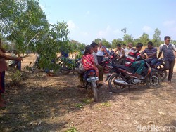 Usir Gajah yang Nyasar ke Kota, Warga: Malah Kami Dikejar Balik