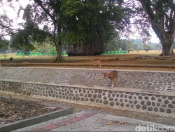 Kekeringan di Kota Hujan, Warga Bogor Diimbau Hemat Air