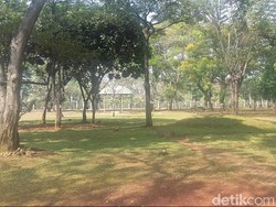Musim Kemarau, Air untuk Taman dan Rusa di Monas Tetap Terjaga