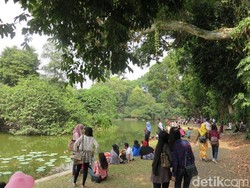 Spesies Burung di Kebun Raya Terus Berkurang, Ini Penyebabnya