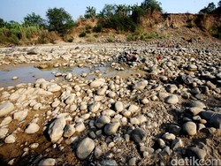 Kekeringan Melanda, Awas El-Nino Kuat Menyerang Indonesia