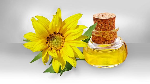 Sunflower Oil