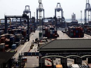 RI Tergantung Kapas Impor, Mayoritas dari 3 Negara Ini