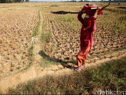 Cegah Pencurian Air, Pemprov Jateng Kerahkan Anggota TNI dan Polri