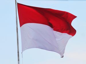 Ini Peran India dan Mesir dalam Mendukung Kemerdekaan Indonesia