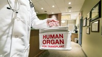 Viral Mendadak Muncul Lampu Hijau di RS Ini, Ternyata Penghormatan untuk Donor Organ
