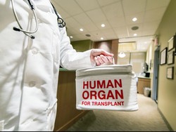 Bisakah Donor Organ Bantu Manusia Hidup hingga Umur 150? Dokter Bilang Gini