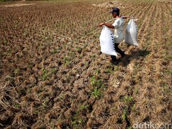 578 Ribu Kepala Keluarga di Indonesia Kekurangan Air Bersih