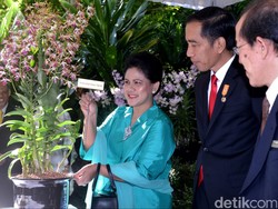 Penampakan Anggrek Iriana Jokowi yang Diresmikan di Singapura