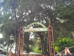 Kesaksian Pendaki soal Momen Terakhir 7 Remaja dan Anak di Puncak Lawu