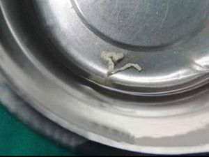 Muntah Usai Makan Salmon Mentah, Ternyata Ada Larva Cacing di Usus Wanita Ini