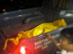 Mayat Wanita Berkerudung Ditemukan Telah Membusuk di Lahan Perhutani Sukabumi