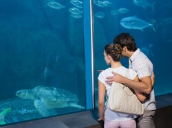 Berkunjung ke Akuarium Bermanfaat untuk Tekanan Darah dan Jantung Lho