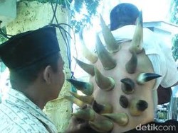 Terapi Bekam Tanduk Sapi di Arena Muktamar NU Laris Manis