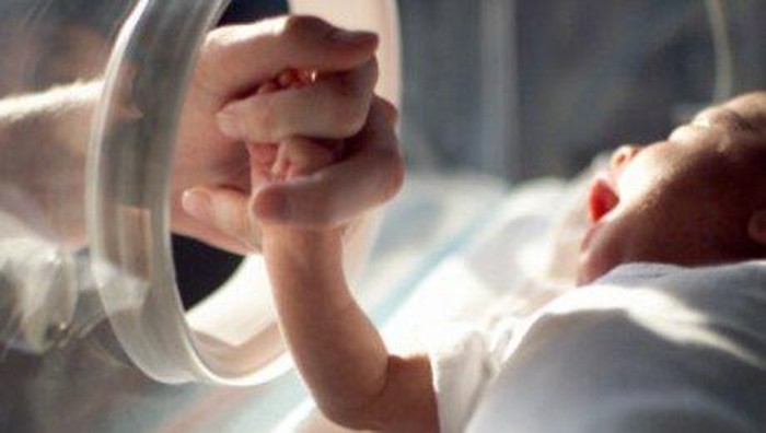 bayi di dalam inkubator