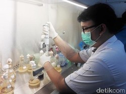 Mahasiswa IPB ini Atasi Tumpahan Minyak di Teluk Jakarta dengan Bakteri