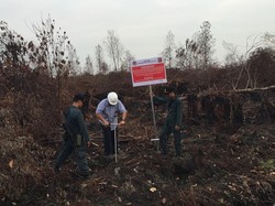 Ini Kendala Pemadaman Kebakaran Hutan di Sumatera dan Kalimantan