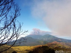 Pemprov Jatim Janji Beri Bantuan Petani Tembakau Korban Abu Raung