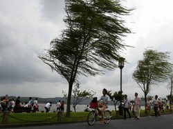 14 Orang Tewas Akibat Topan Soudelor di China, Ratusan Ribu Diungsikan
