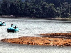 Kemarau Panjang, Danau Situgunung di Sukabumi Mengering
