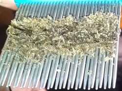 Sekeluarga Keracunan Obat Kutu, Rumah Sakit: Anak Kecil Lebih Rentan