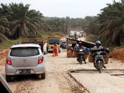 Heboh Lahan HGU, Mulai Dari Prabowo Hingga Luhut
