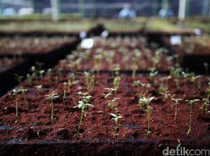 4 Jenis Lapisan Tanah Beserta Klasifikasinya, Simak Yuk!