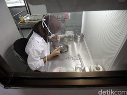 Kultur Jaringan: Pengertian, Tahapan serta Kelebihan dan Kekurangan