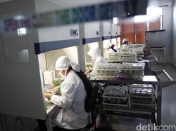 Ramai #uninstallbukalapak, Berapa Sih Sebenarnya Anggaran R&D RI?