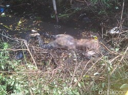 Musarafah, Wanita di Empang Tangerang Dibunuh karena Tagih Utang