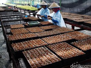 Apa Saja Contoh Produk Bioteknologi Modern di Berbagai Bidang? Cek di Sini Apa Saja Contoh Produk Bioteknologi Modern di Berbagai Bidang? Cek di Sini