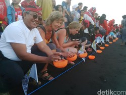 Peringatan HUT RI, Warga Banyuwangi dan Turis Bule Lepas 70 Tukik