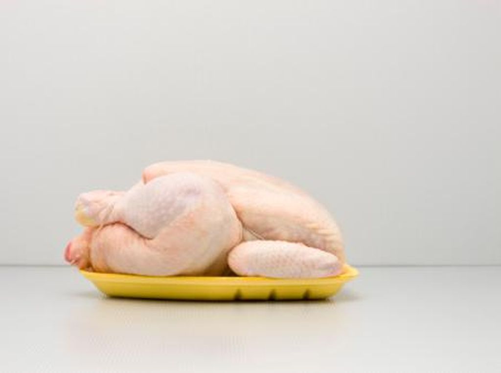Penting! Ini Saran Pakar Biar Ayam Ungkep Tak Bikin Keracunan