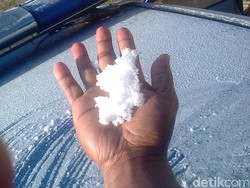 Hujan Es Juga Sampai ke Ilaga, Kebun Warga Rusak