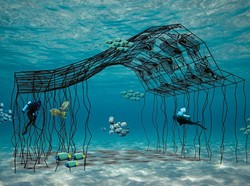 Jokowi Bentuk Komite Nasional Prakarsa Segitiga Karang, Rizal Ramli Ketuanya