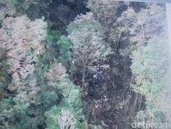 Medan Sulit, Tim SAR Darat Butuh Waktu 4 Jam ke Titik Jatuhnya Trigana