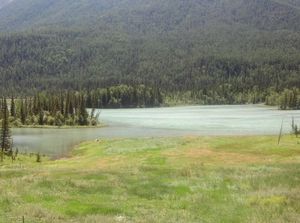 Pertanda Buruk, Oksigen Danau di Seluruh Dunia Menurun
