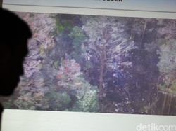 Pencarian Heli yang Hilang Diintensifkan ke 4 Sektor Wilayah