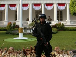 Isu Menteri ESDM Berpaspor AS, Ahli Hukum: Istana dan Arcandra Harus Klarifikasi