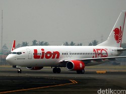 Binatang Misterius di Pesawat Tak Ditemukan, Lion Air Ambil Tindakan