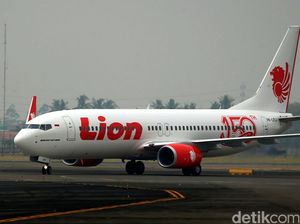 Binatang Misterius di Pesawat Tak Ditemukan, Lion Air Ambil Tindakan Binatang Misterius di Pesawat Tak Ditemukan, Lion Air Ambil Tindakan