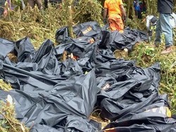 43 Kantong Jenazah Tiba di Jayapura Untuk Diidentifikasi