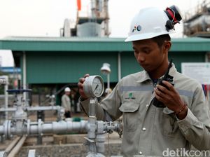 Tekan Biaya Produksi, ESDM Kaji Formula Baru Harga LPG Tekan Biaya Produksi, ESDM Kaji Formula Baru Harga LPG