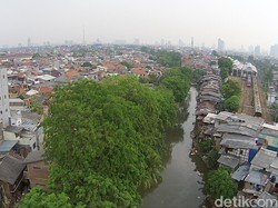 Setelah Kampung Pulo, Pemprov DKI Akan Relokasi Bukit Duri