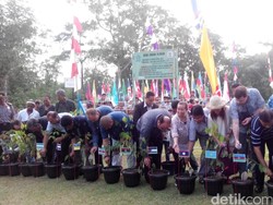 Upaya Ekstra untuk Lestarikan Kapur Barus di Tapanuli Tengah