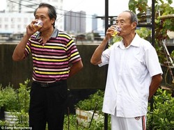 Tiap Pagi, Orang-orang Ini Akan Kumpul dan Bersulang untuk Minum Urine